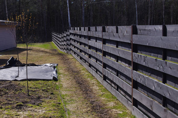 Horisontaalse lipiga puitaed